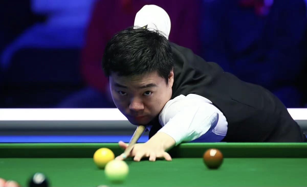 他们推出了 他们推出了